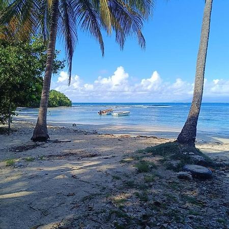 T1 Bis A Proximite De La Plage Le Gosier  Extérieur photo